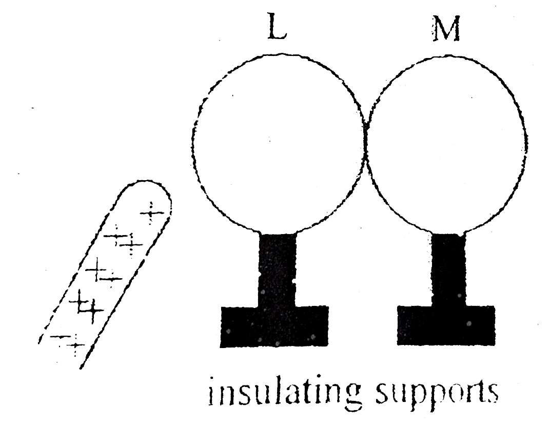Two uncharged metal spheres, L and M, are in contact A positively