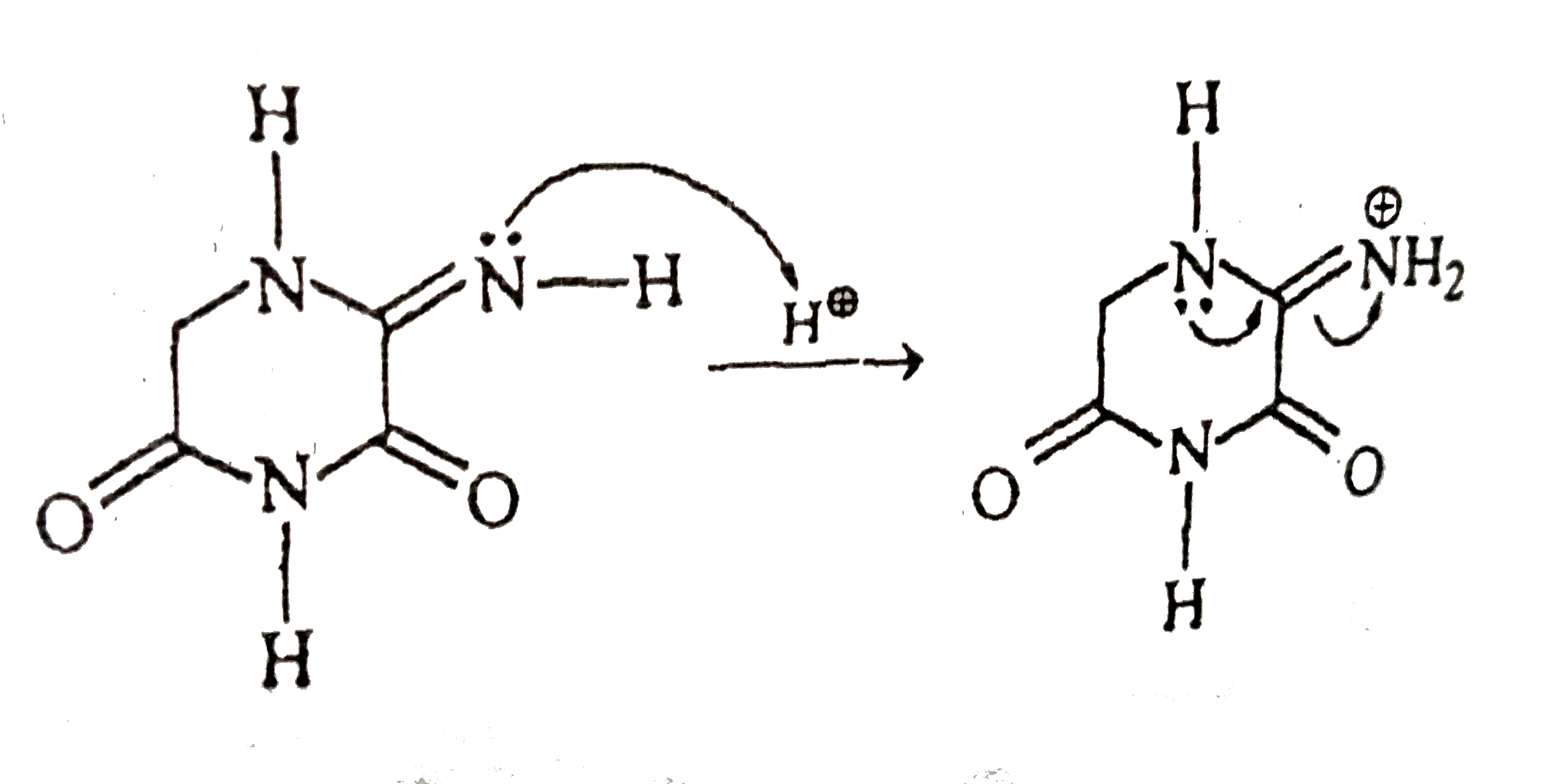 10. Unexpected Anion Basicity Order: Will This Change Your Understanding? - 0kqa5tx