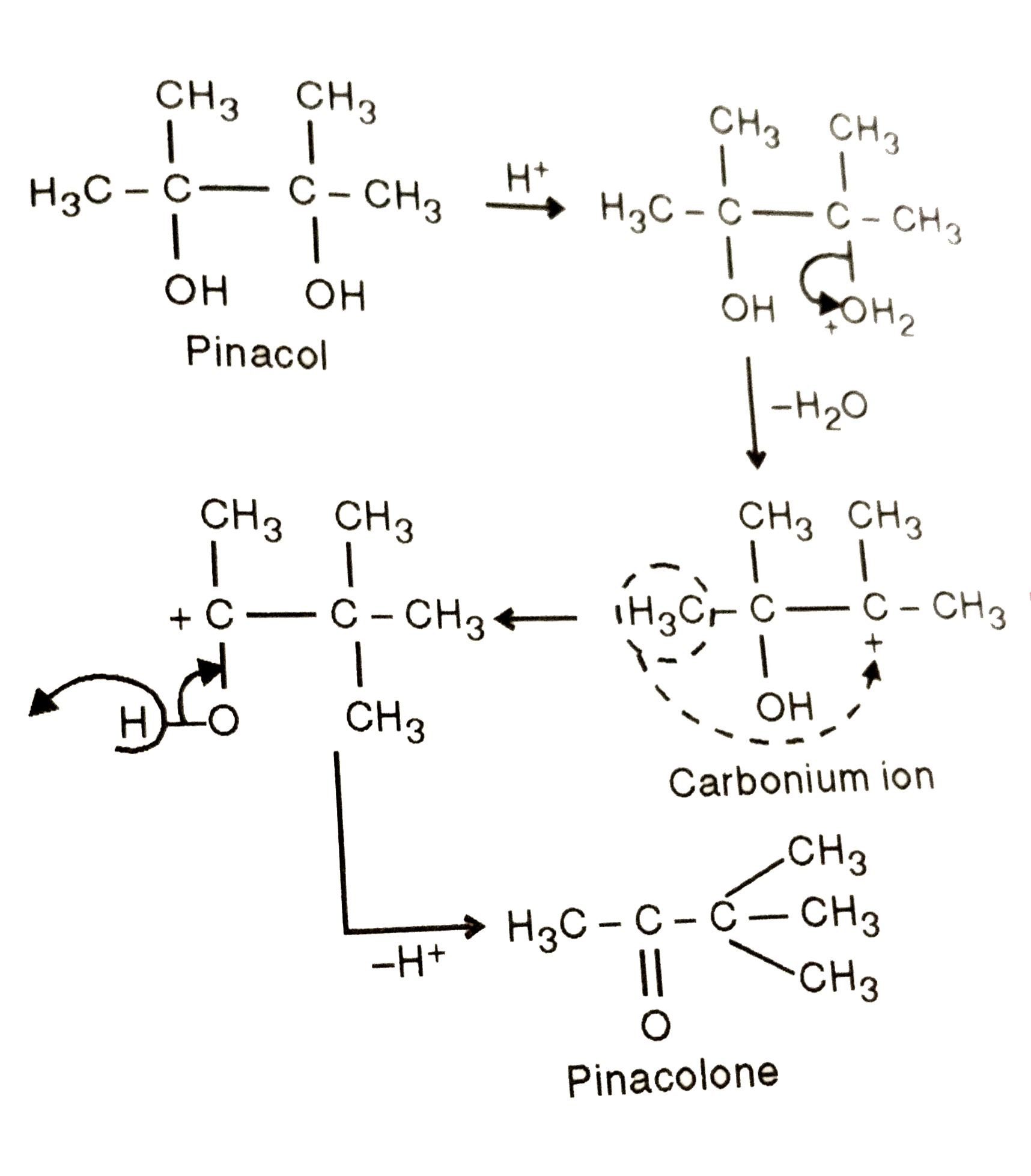 In Pinacol-pinacolone rearrangement the reactive species undergoing ...