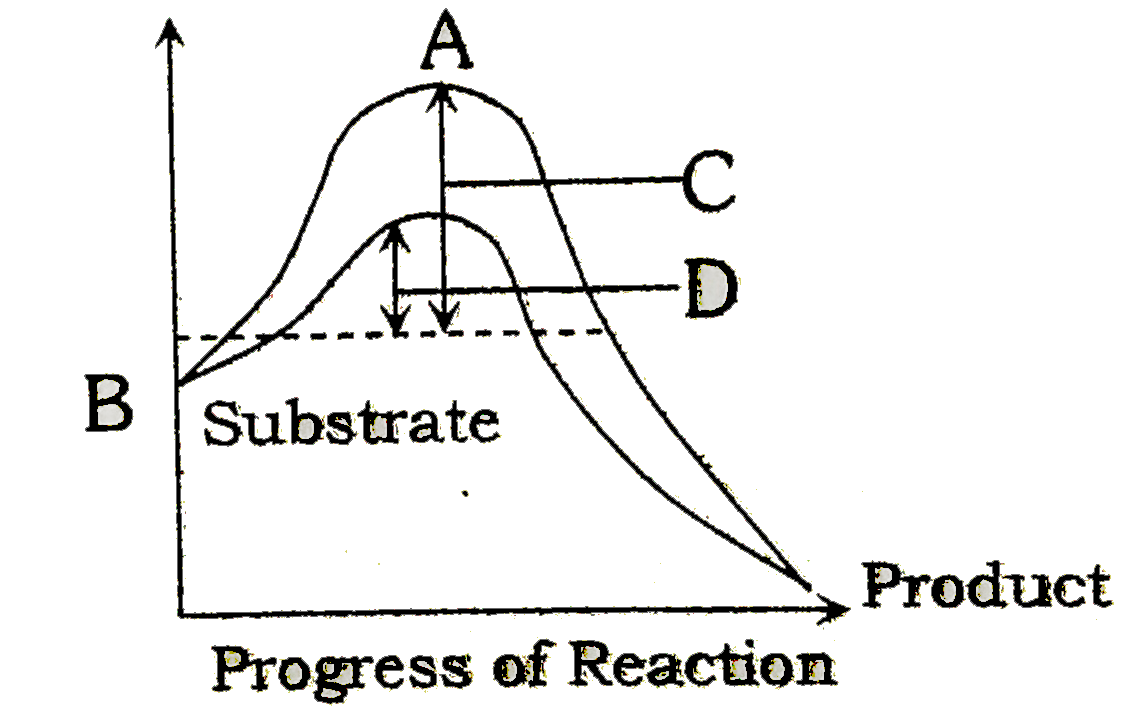 The figure given below shows the conversion of a substrate into product
