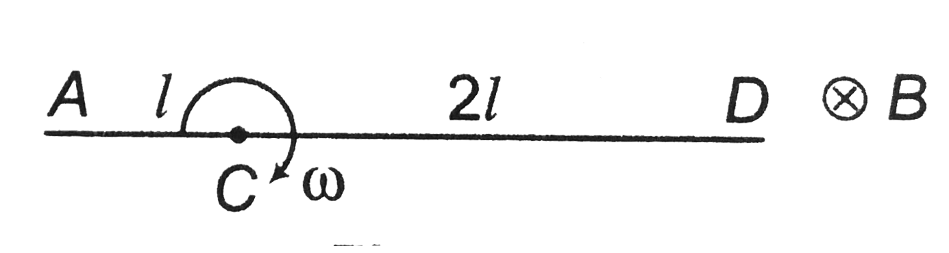 A rod of length `3l` rotated with an angular velocity `omega` as shown in  figure. The unfiorm magnetic field `B` is into the paper. Find (a) `V_(A)-V_  - Sarthaks eConnect | Largest