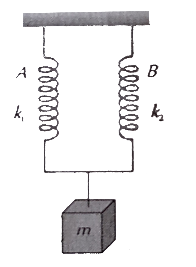 A mass m is suspended by means of two coiled spring which have the same