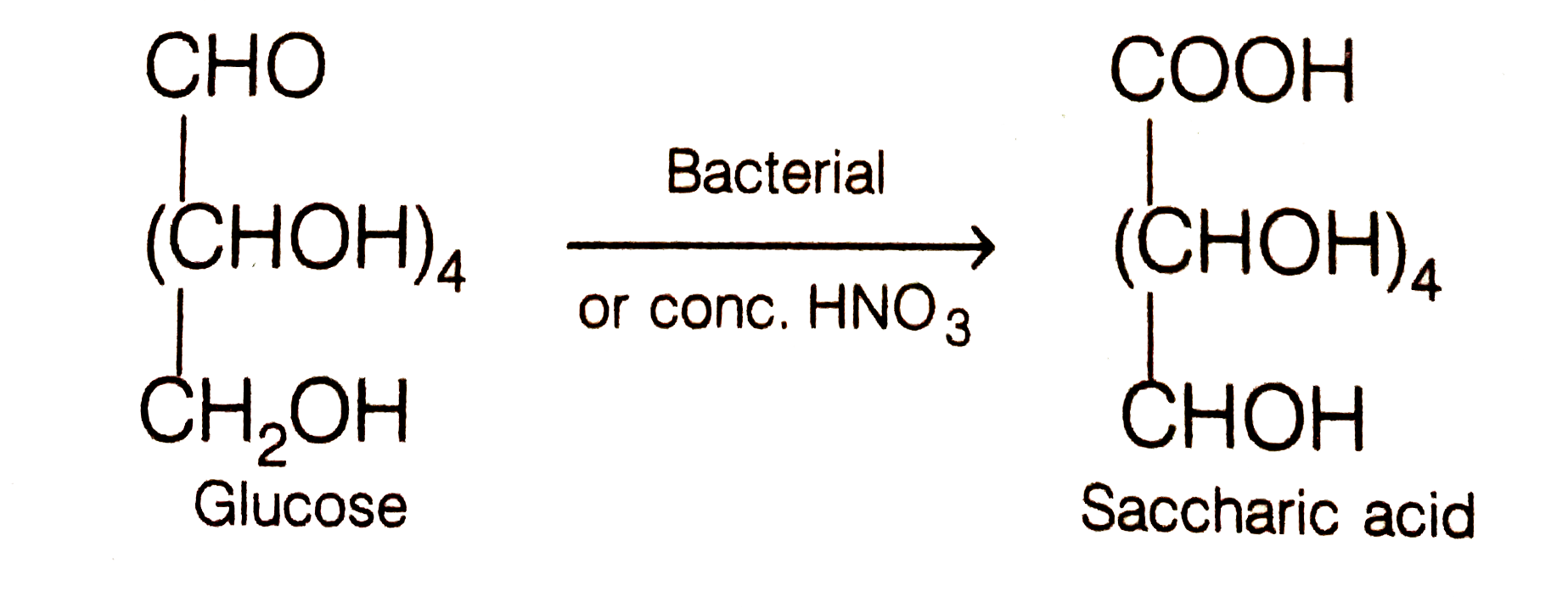 What is the difference between saccharin and saccharin acid