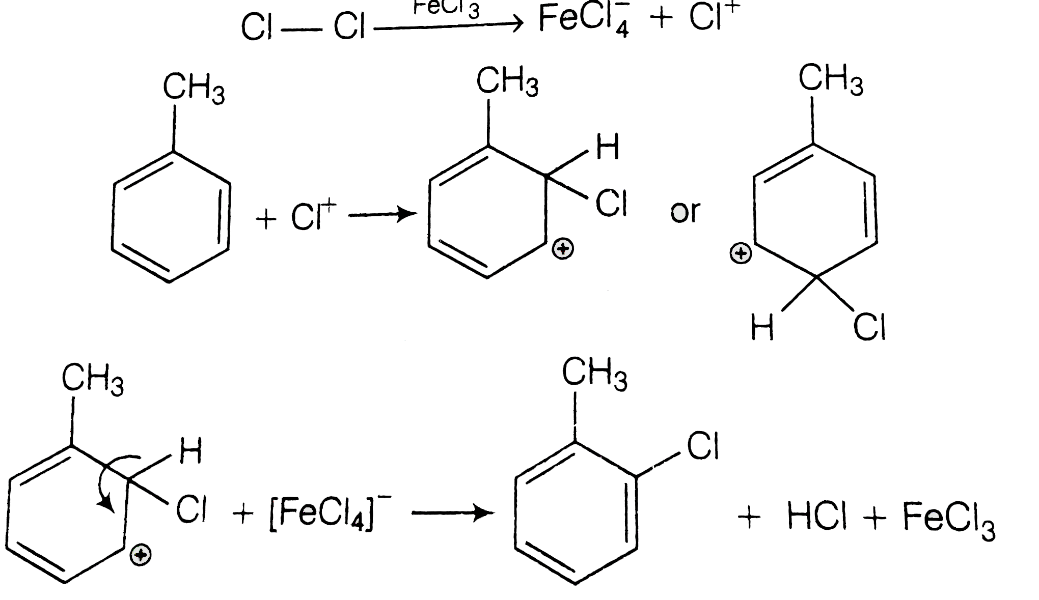 Toluene react with a halogen in the presence of iron (III) chloride giving ortho andpara halo