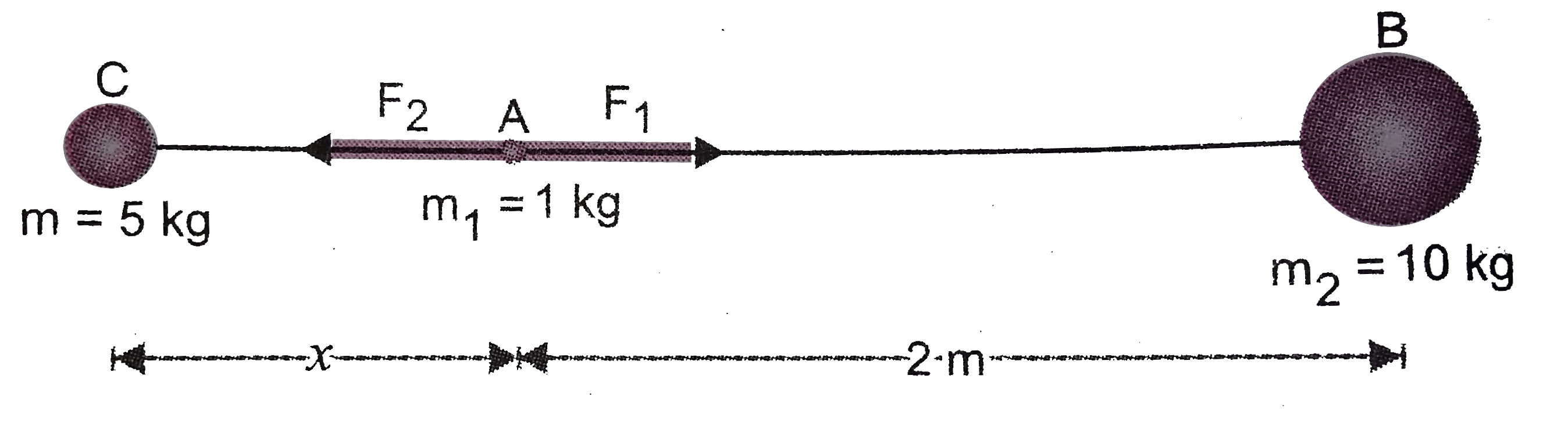A body of mass 1 kg is placed at a distance of 2m from another body of