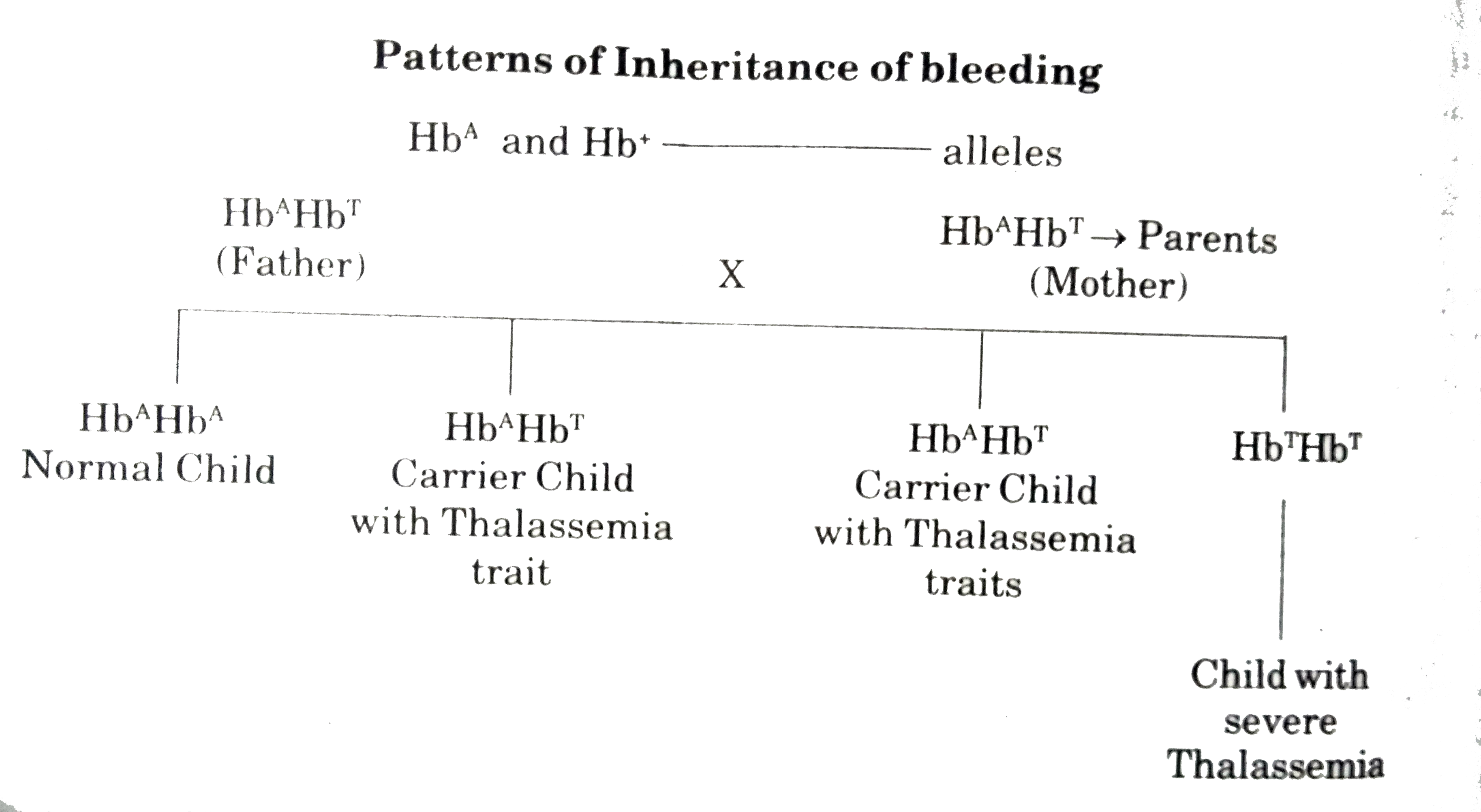 Why are thalassemia and hemophilia categorized as Mendelian disorders