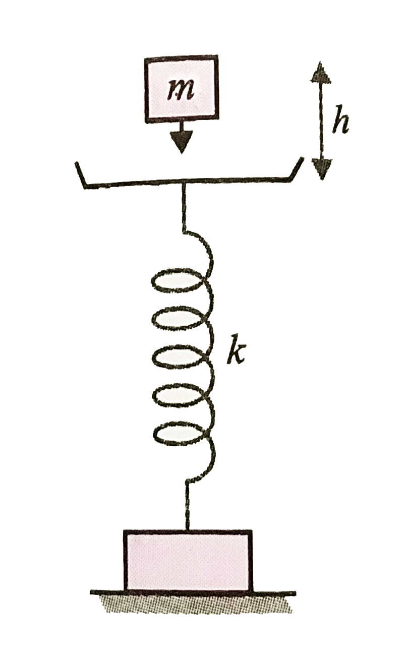 A body of mass m falls from a height h on to the pan of a spring