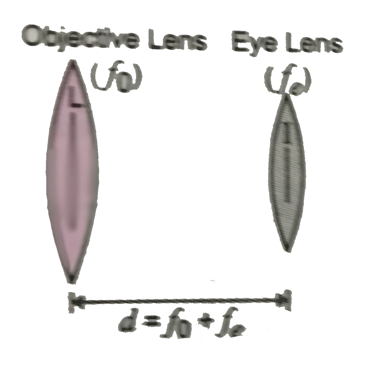 In an astronomical telescope in normal adjustment a straight black line