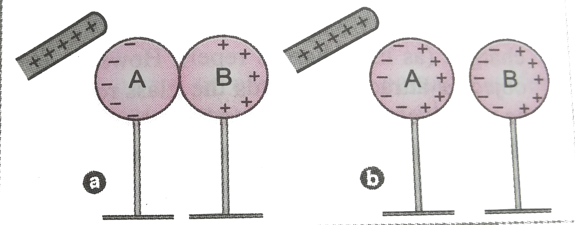 A glass rod rubbed with slik is brought close to two uncharged metallic