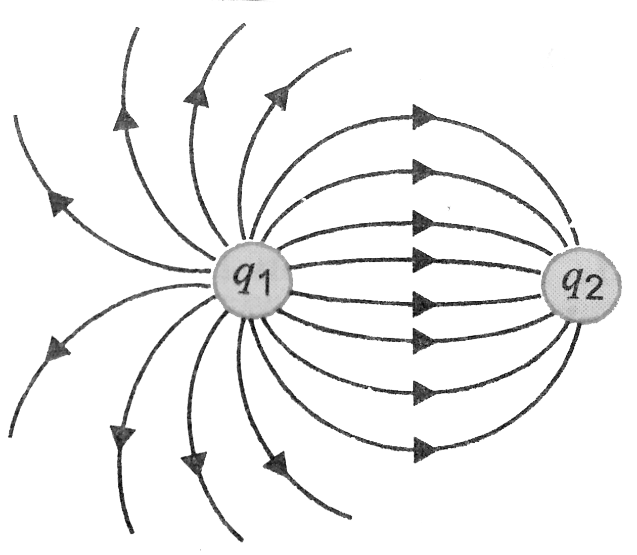 Figure shows the electirc field lines for two point charges separated