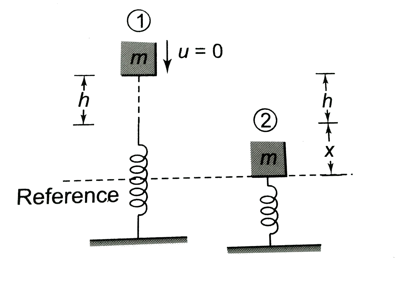 A block is released from height `h`, find the maximum compression of spring of spring constant
