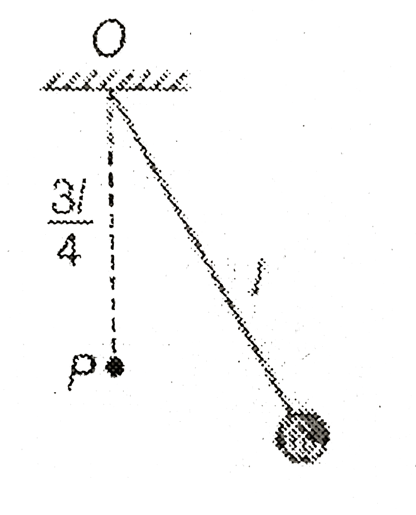A pendulum has time period T for small oscillations. An obstacle P is situated below the point