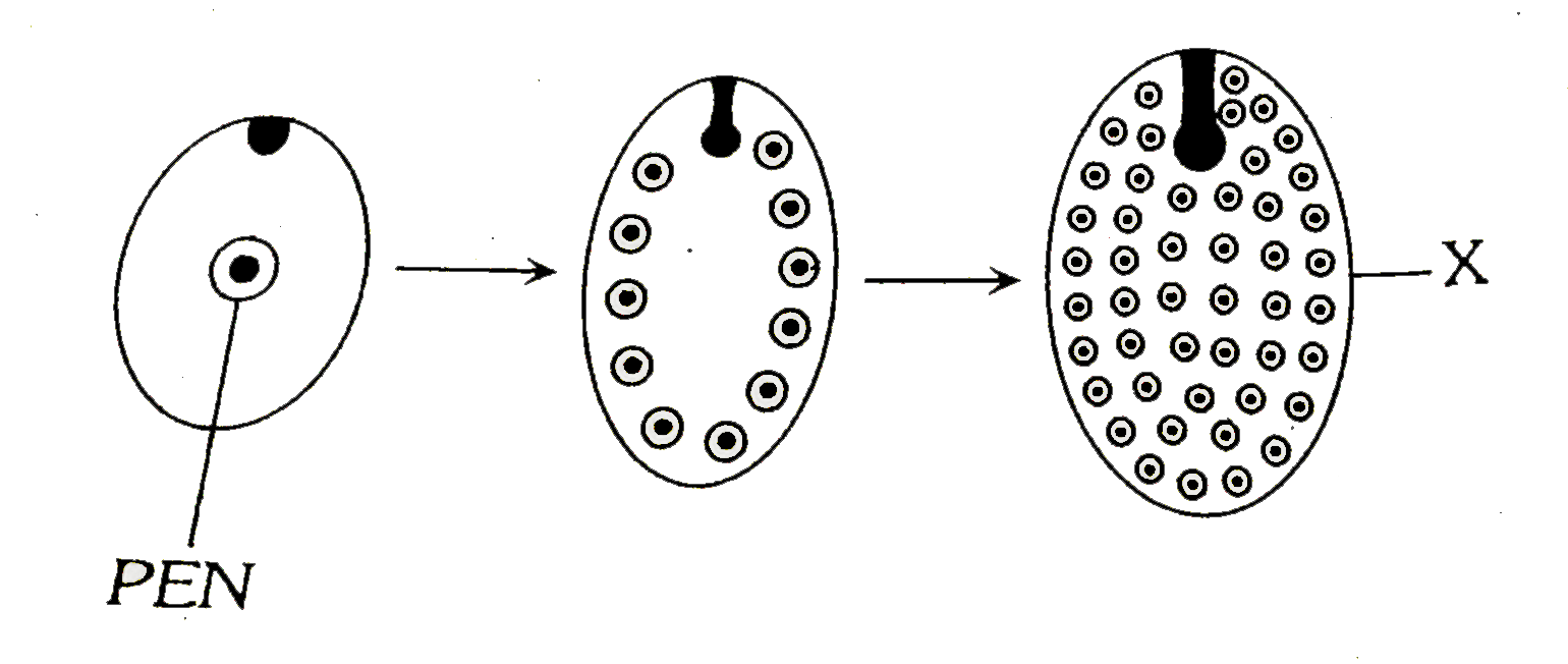 in the following figure Sarthaks eConnect Largest Online Education Community