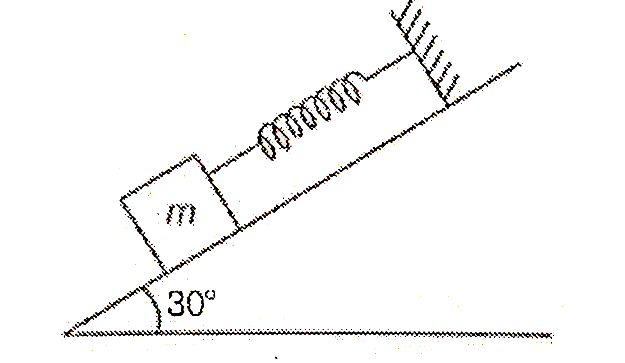 A body of mass 5 kg is suspended by a spring balance on an inclined