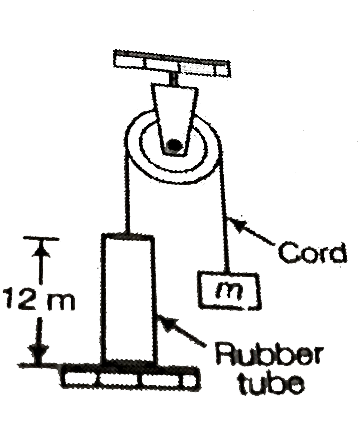 A long rubber tube having mass 0.9 kg is fastened to a fixed support and the free end of the