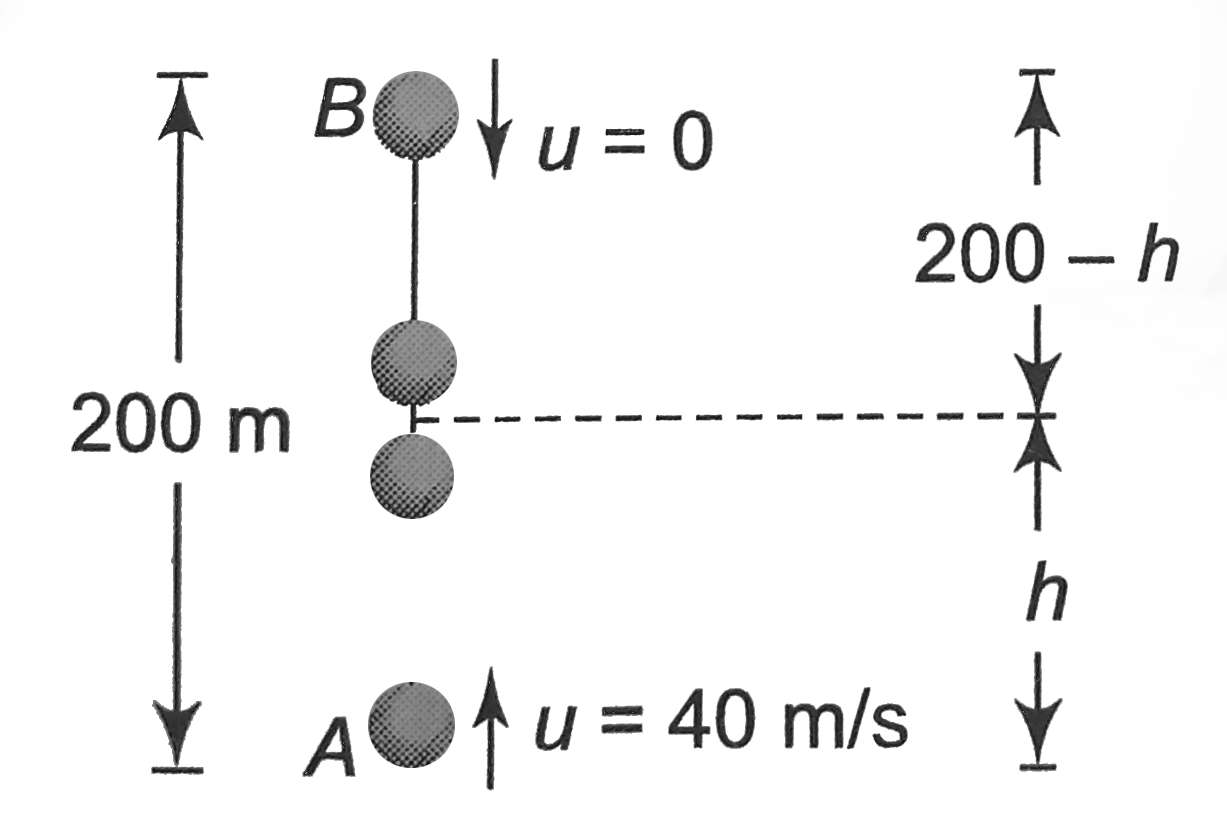A ball is thrown vertically upward with speed `40 m//s`. Simultaneously