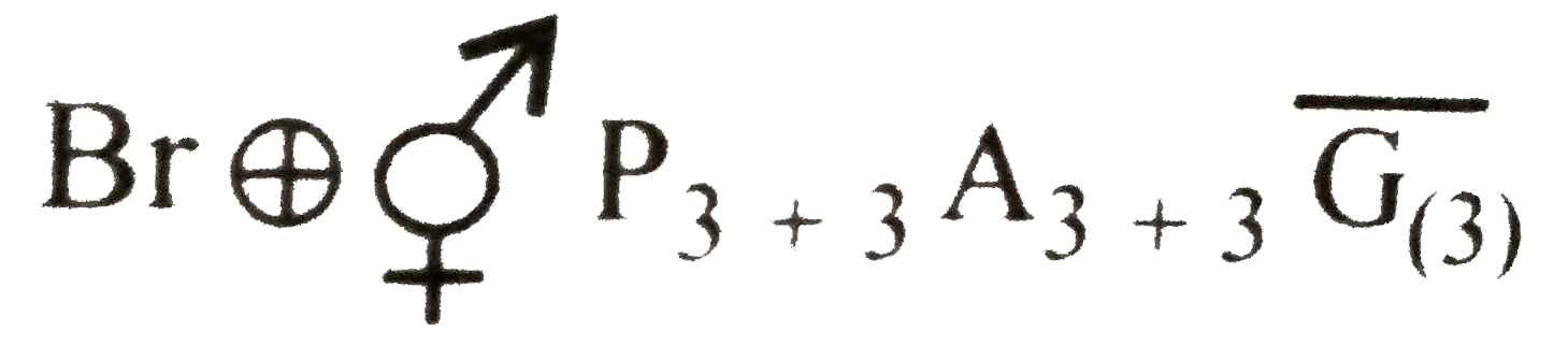 which-of-the-following-floral-formulae-corresponds-to-family-liliaceae