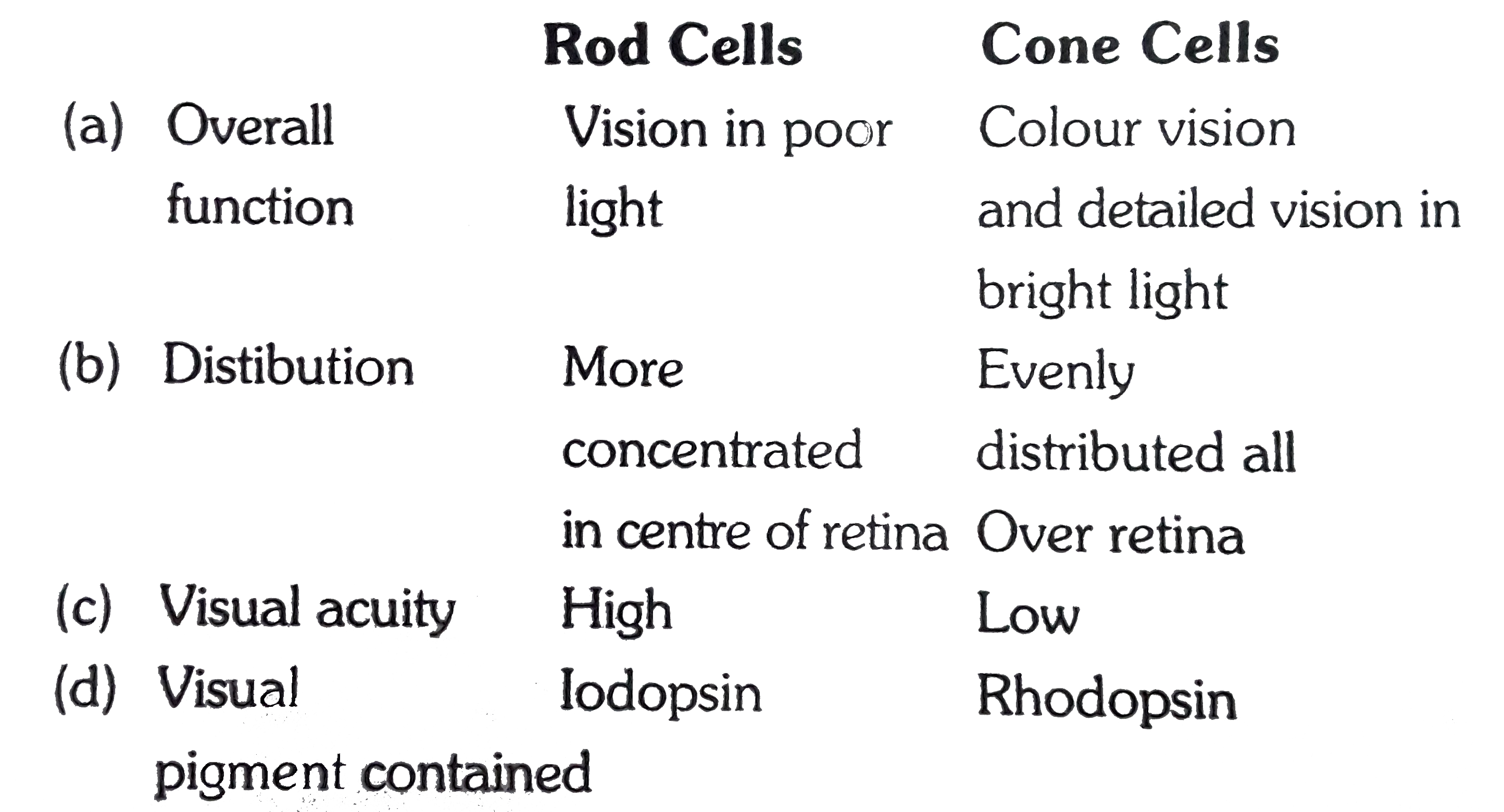 Which one of the following is the correct difference between Rod Cells