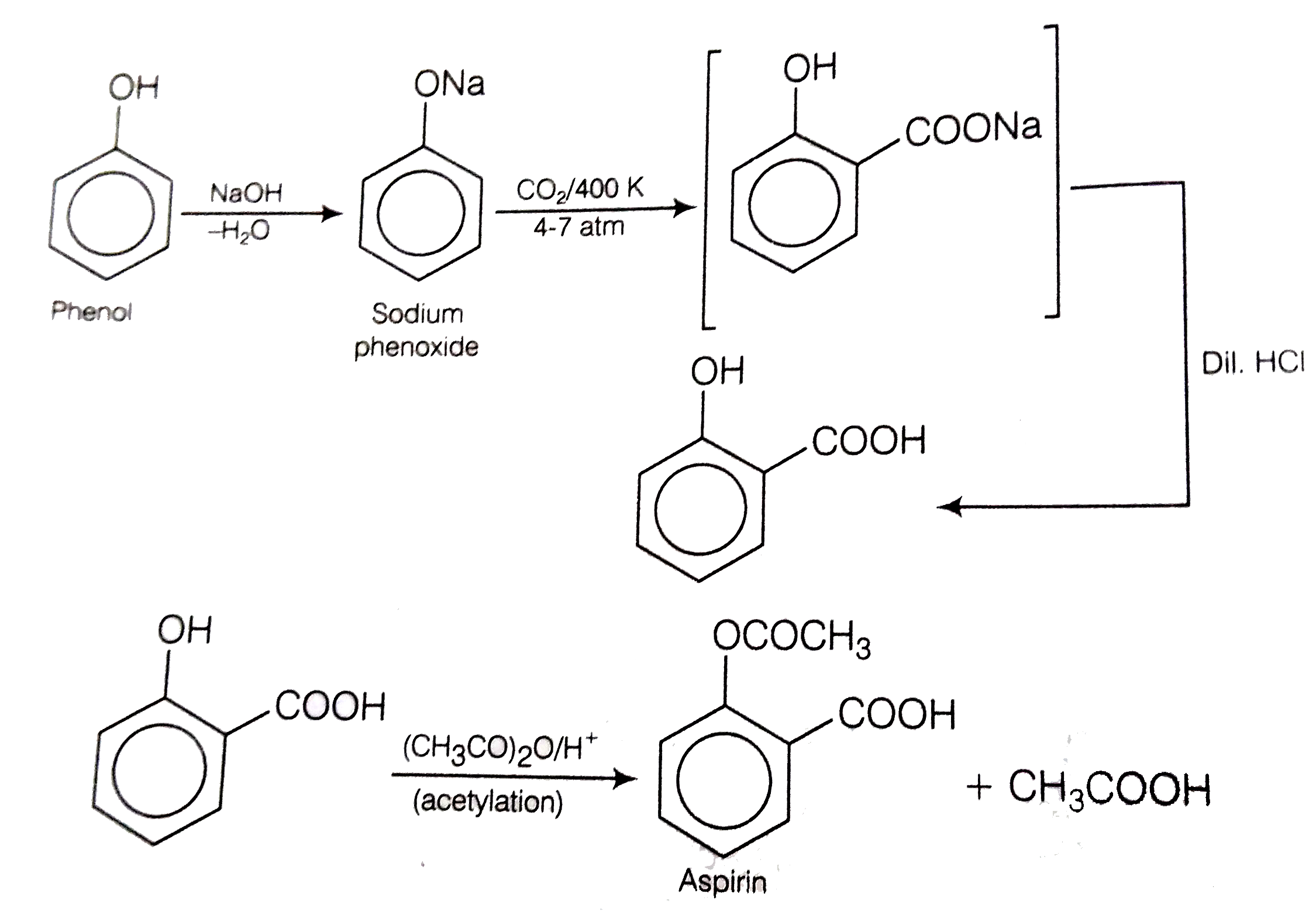 How can phenol be converted to aspirin ? Sarthaks eConnect Largest