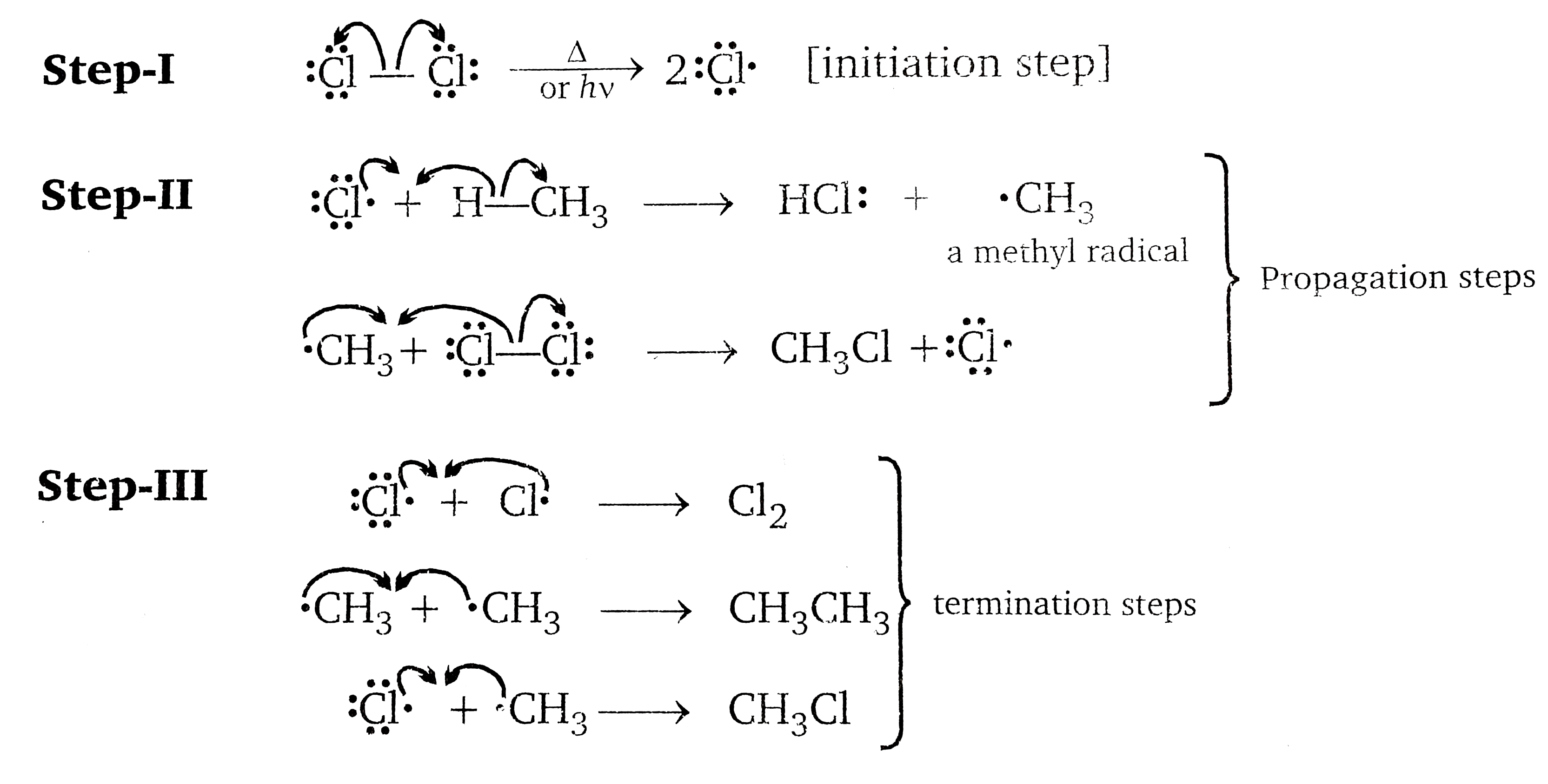Select the chain propagation steps in the freeradical chlorination of