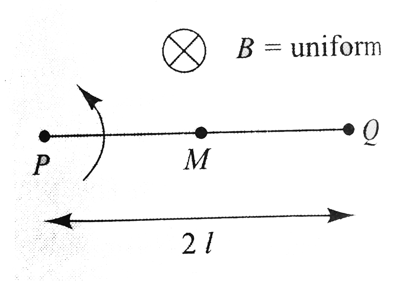 Rod `PQ` of length `2l` is rotating about one end `P` in a uniform