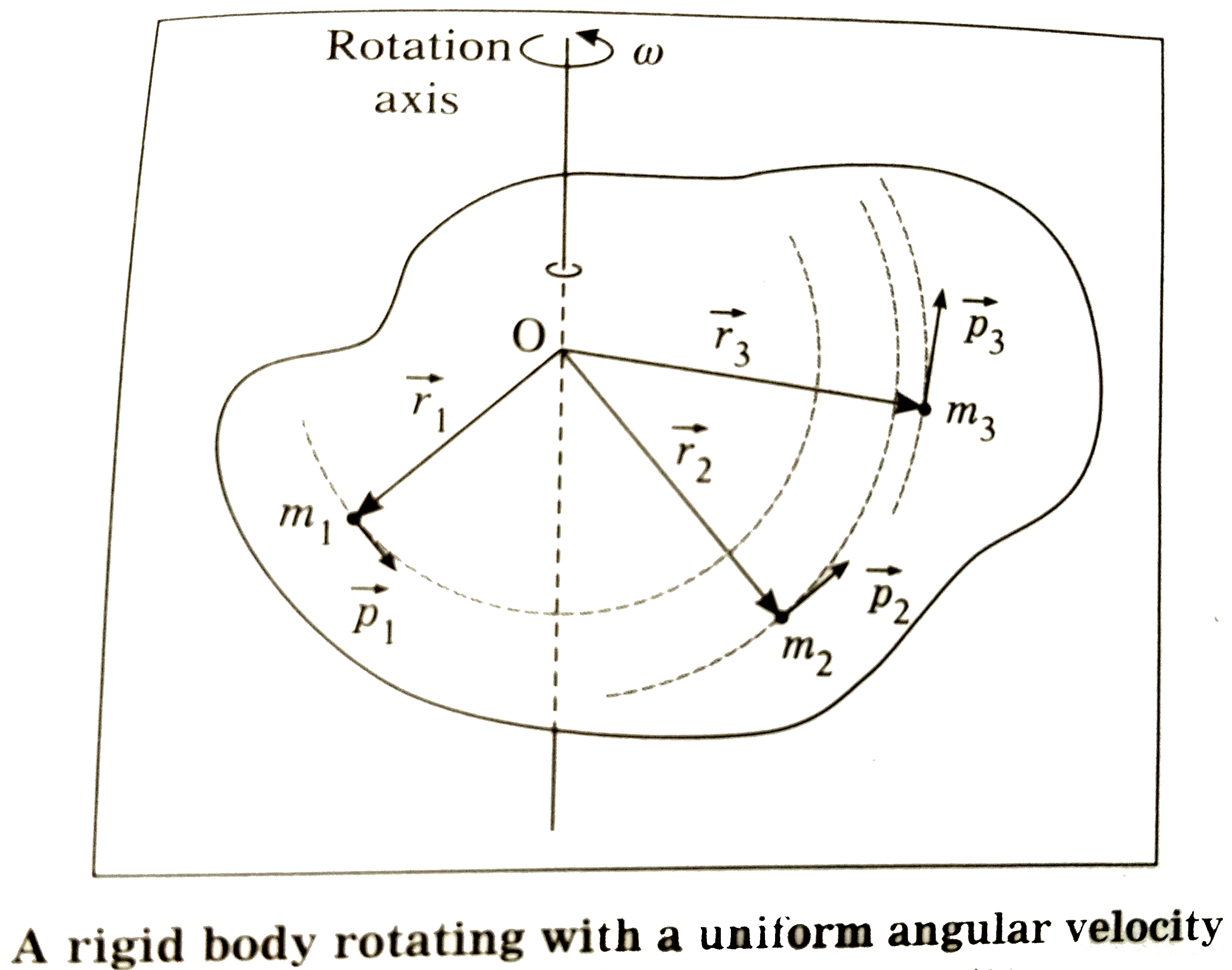 Establish a relation between angular momentum and moment of inertia of