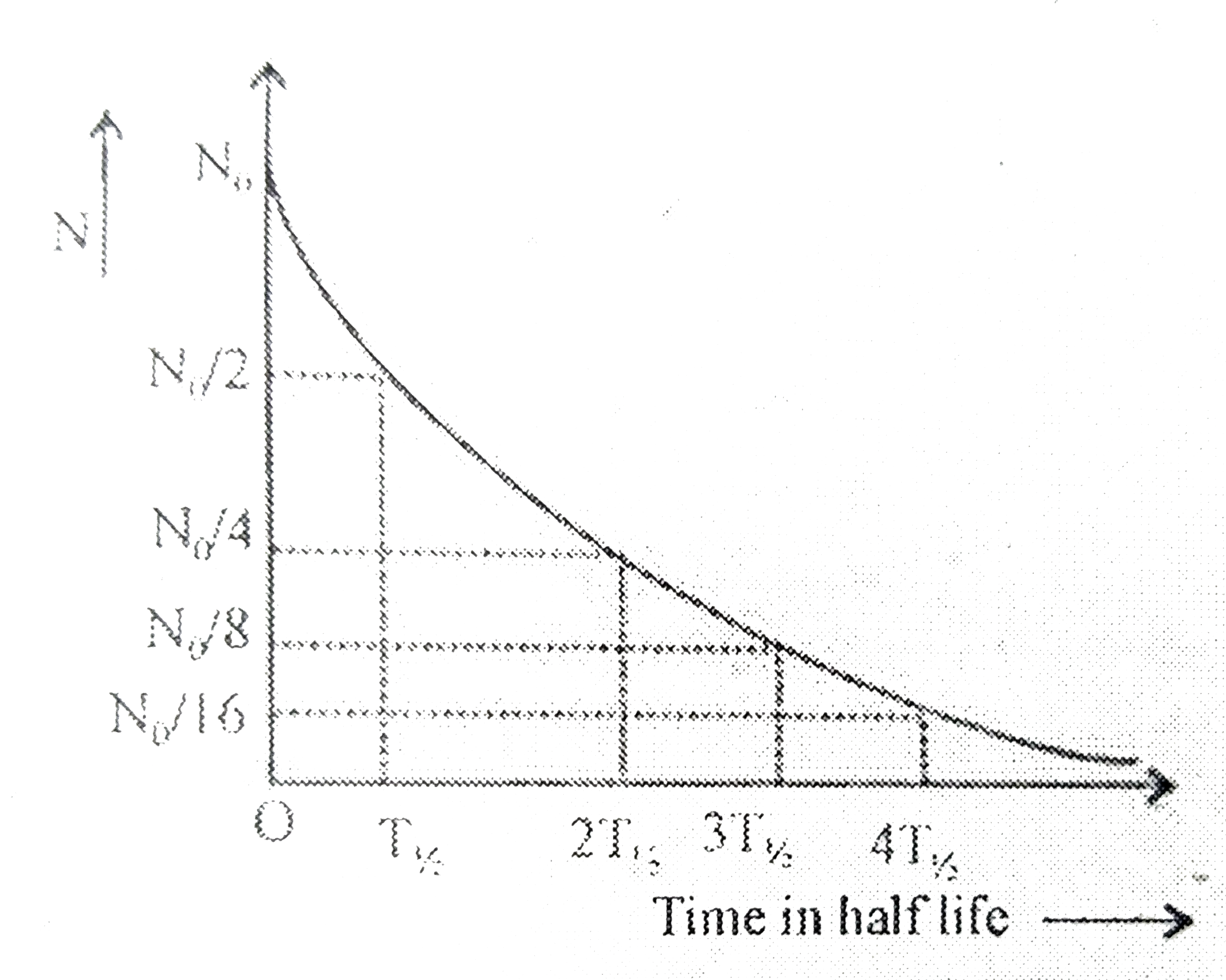 State the law of radioactive decay. Plot a graph showing the number (N
