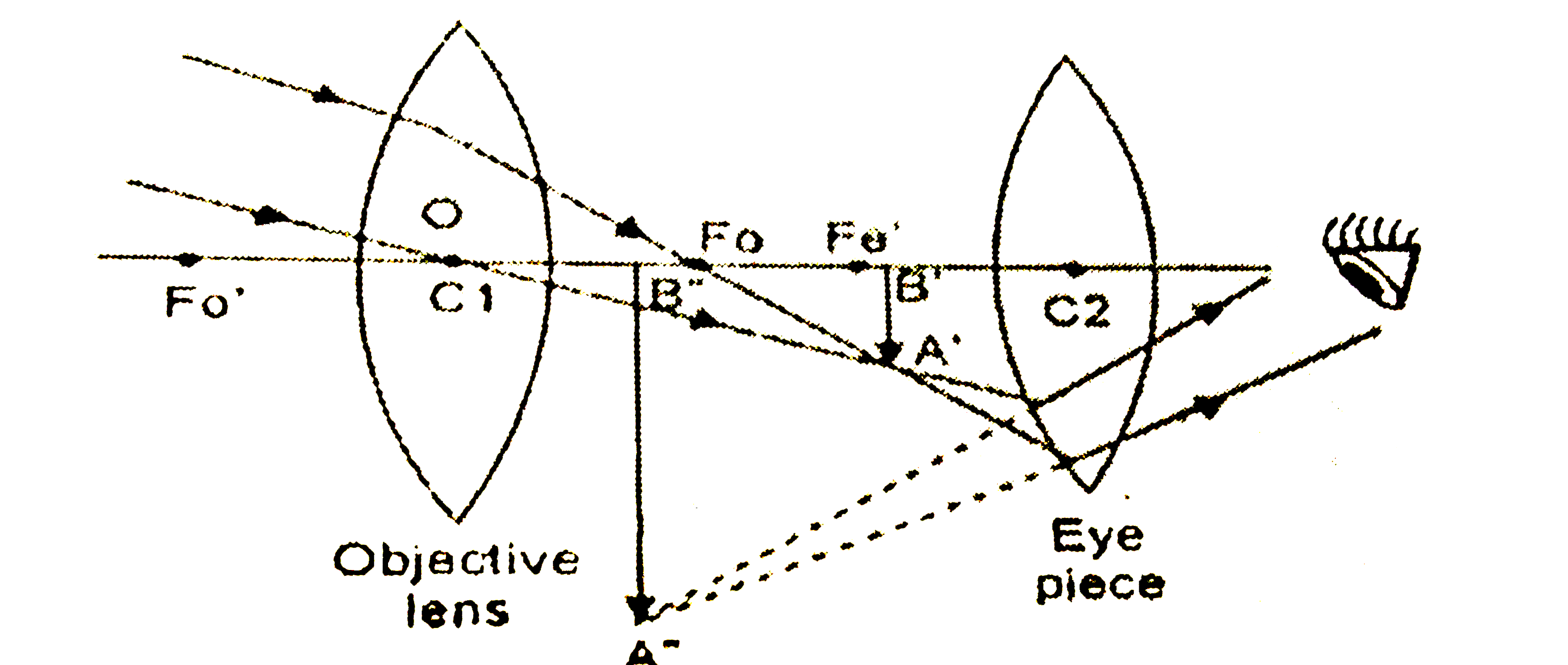 (a) Draw a ray diagram depicting the formation of the image by an