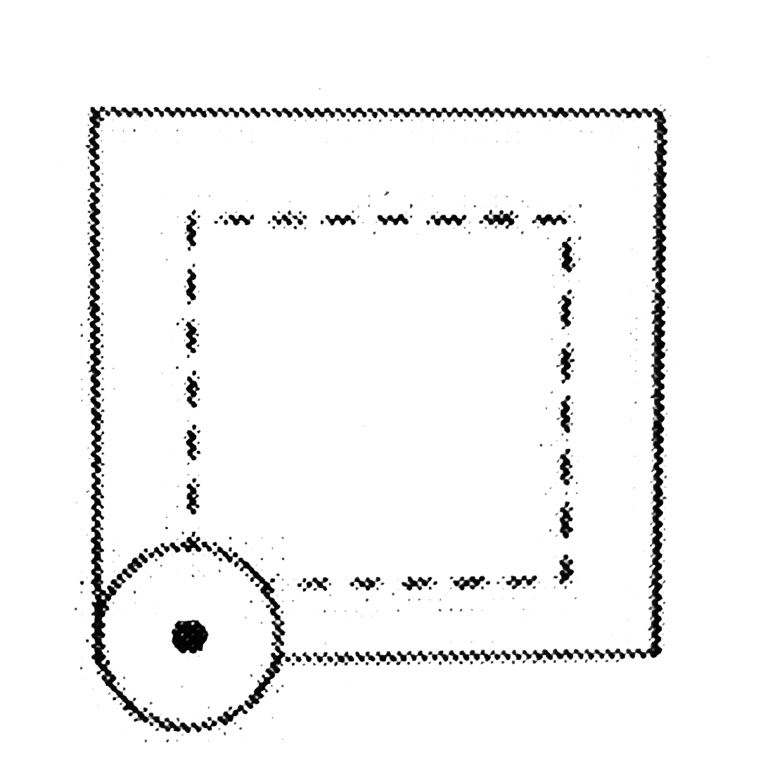 A Coin of radius 1 cm is moving along the circumference and interior of