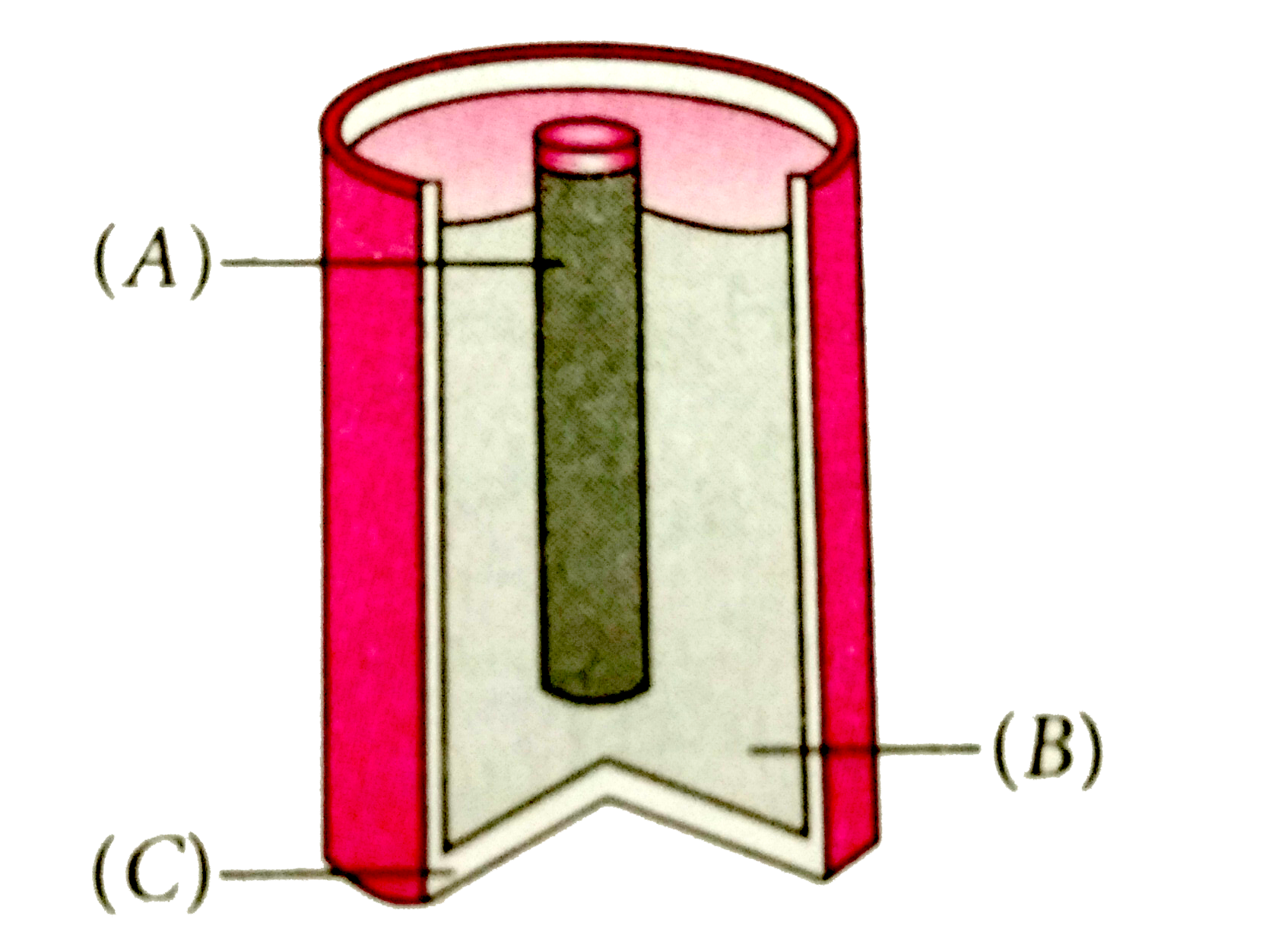 Label the parts represented by (A), (B) and C Sarthaks eConnect
