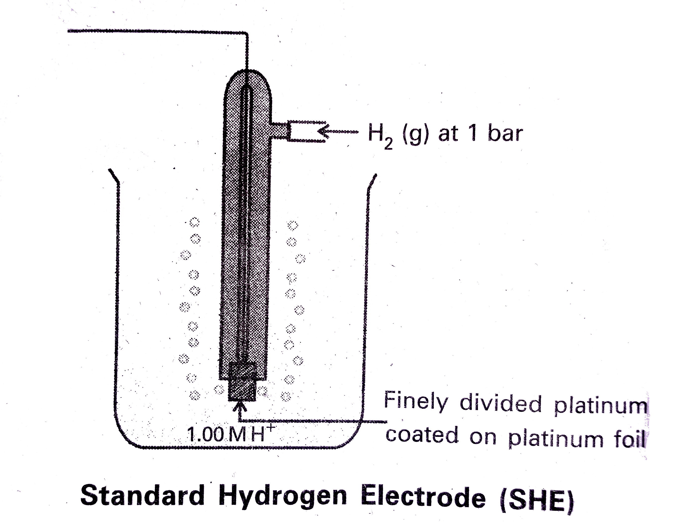 Give the construction and working of a standard hydrogen electode with