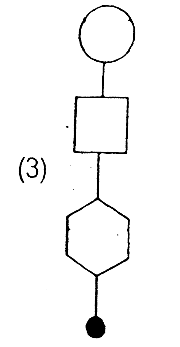 The active site of a biomolecule R is shown below The biomolecule R