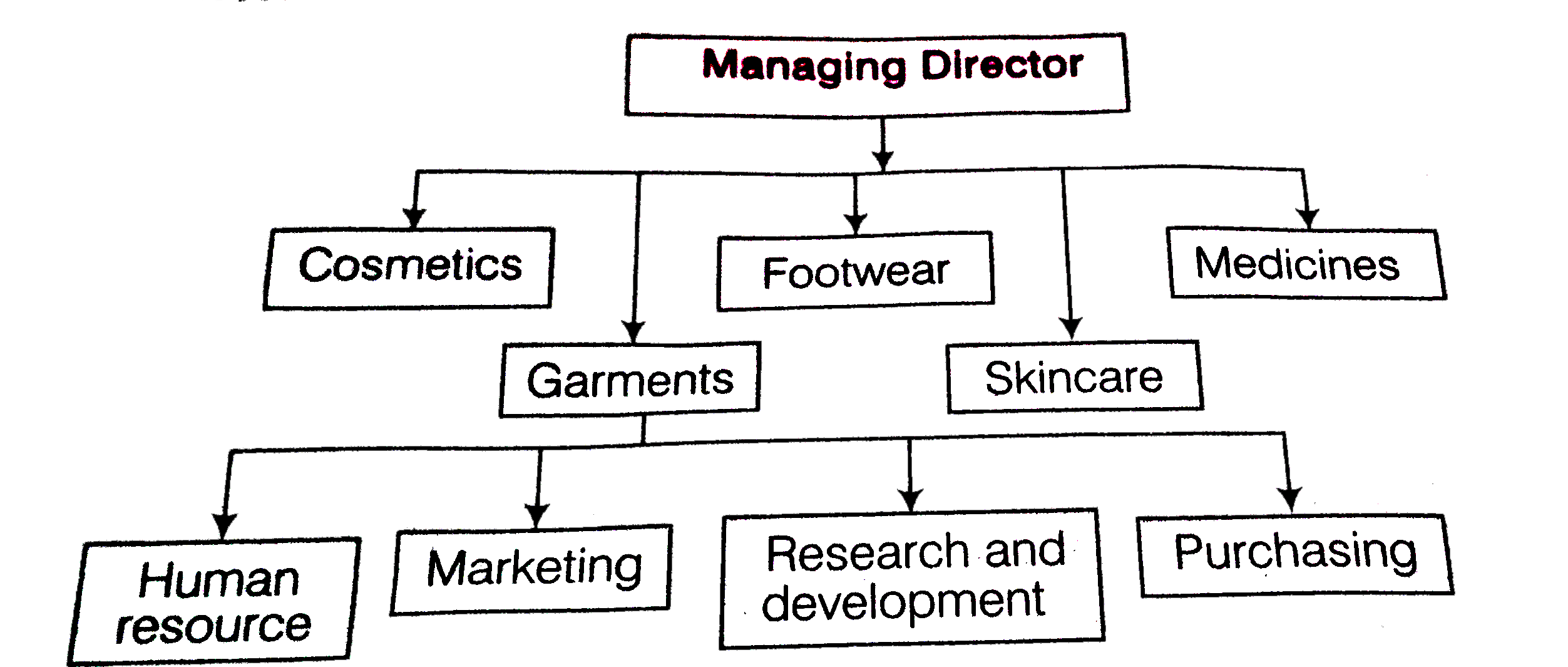 Draw a diagram depicting a divisional structure vrogue co